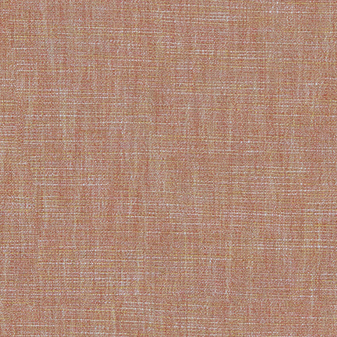 Linwood Vara Rosebud