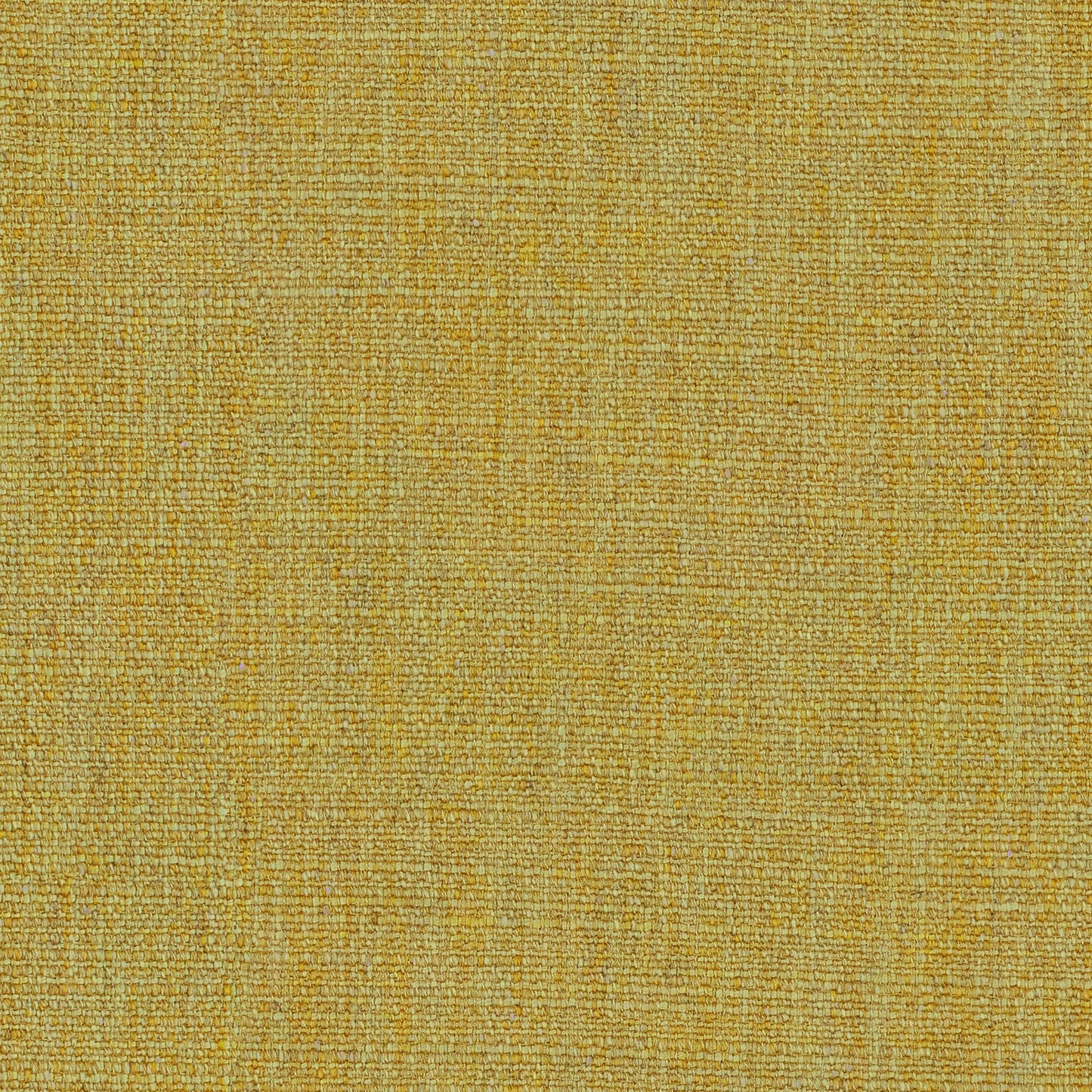 Linwood Vara Sunflower