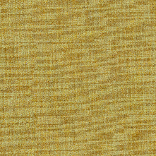 Linwood Vara Sunflower