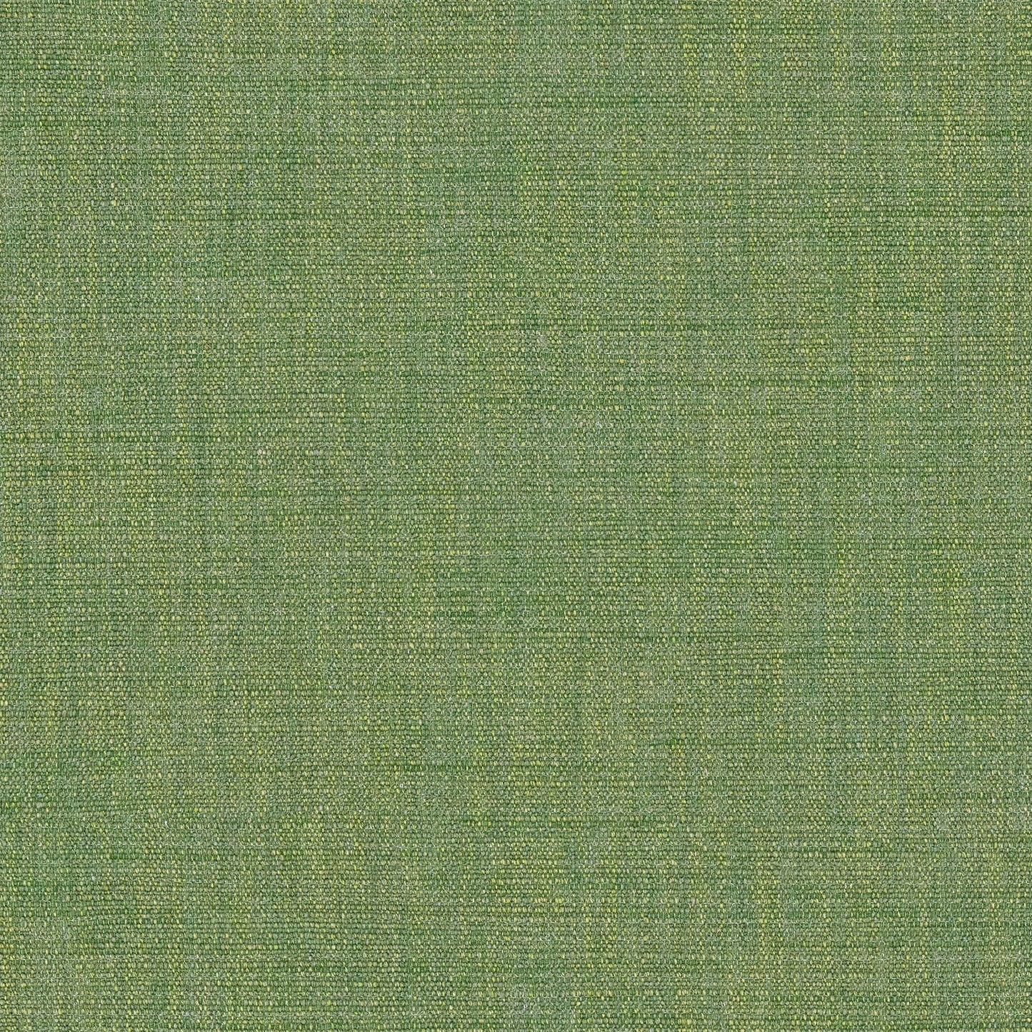 Linwood Vara Winter Moss