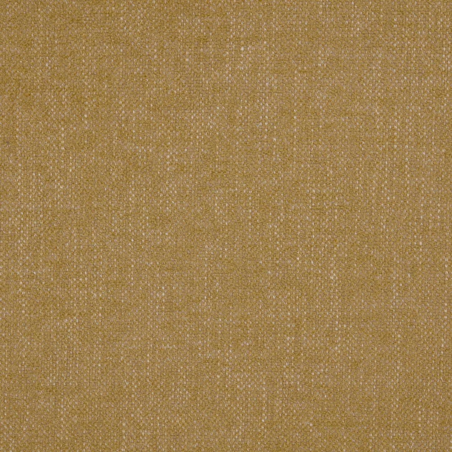 Warwick Verona Ochre