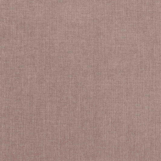 Warwick Viva Blush