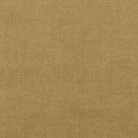 Warwick Viva Citrus