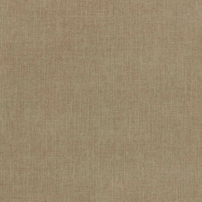 Warwick Viva Papyrus
