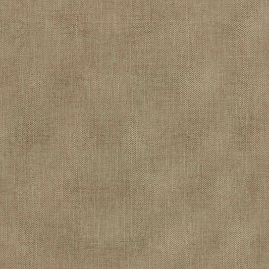 Warwick Viva Papyrus