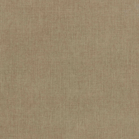 Warwick Viva Papyrus