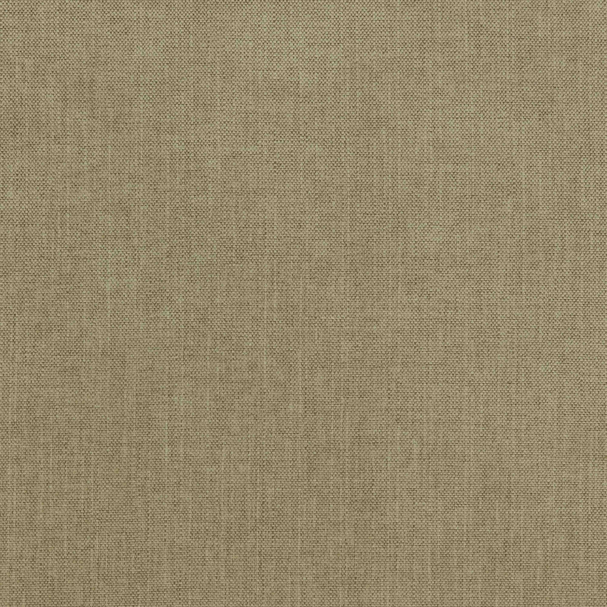 Warwick Viva Pistachio