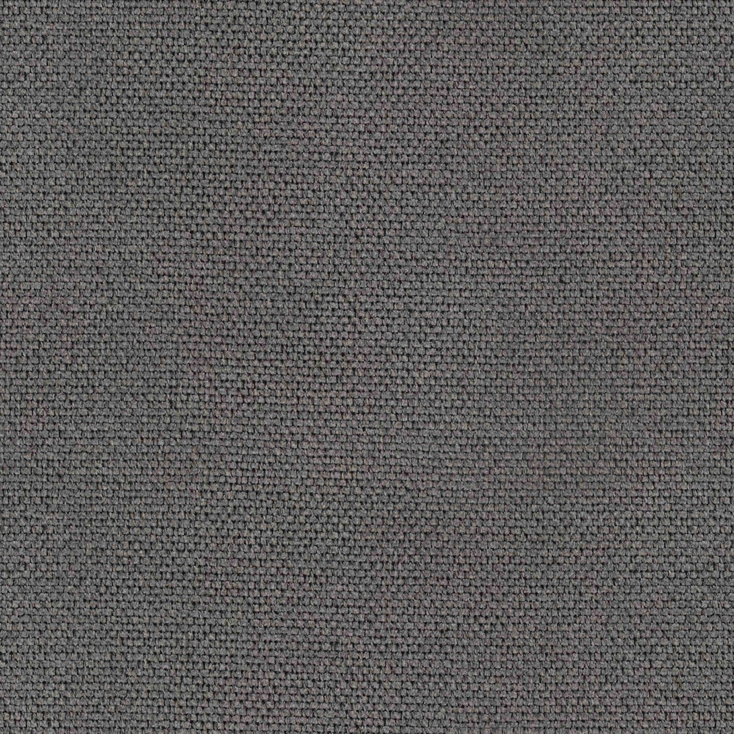 Warwick Wacca Arctic