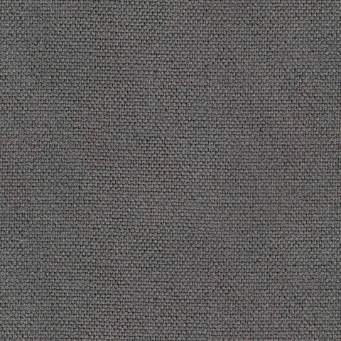 Warwick Wacca Arctic