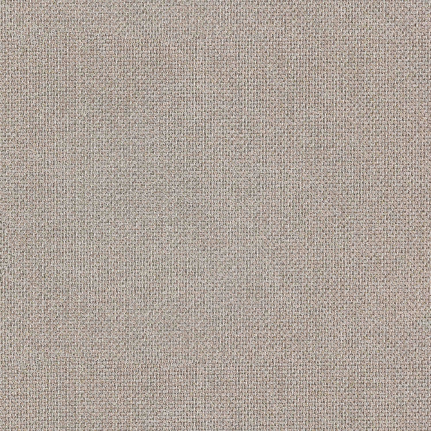 Warwick Wacca Natural