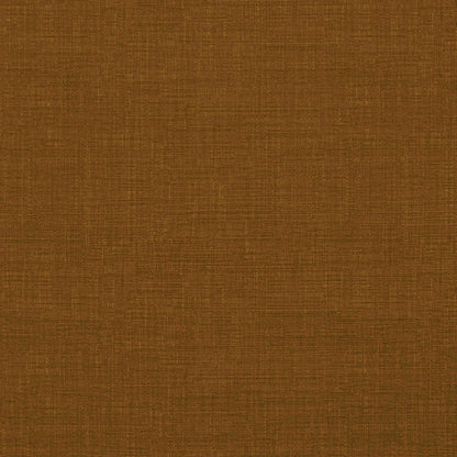 Warwick Waldorf Amber