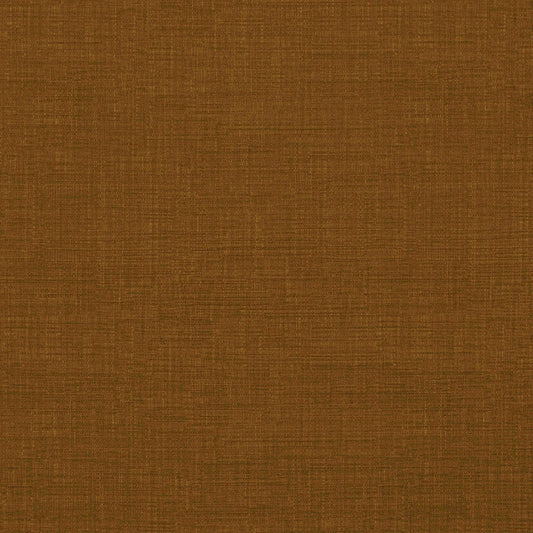 Warwick Waldorf Amber