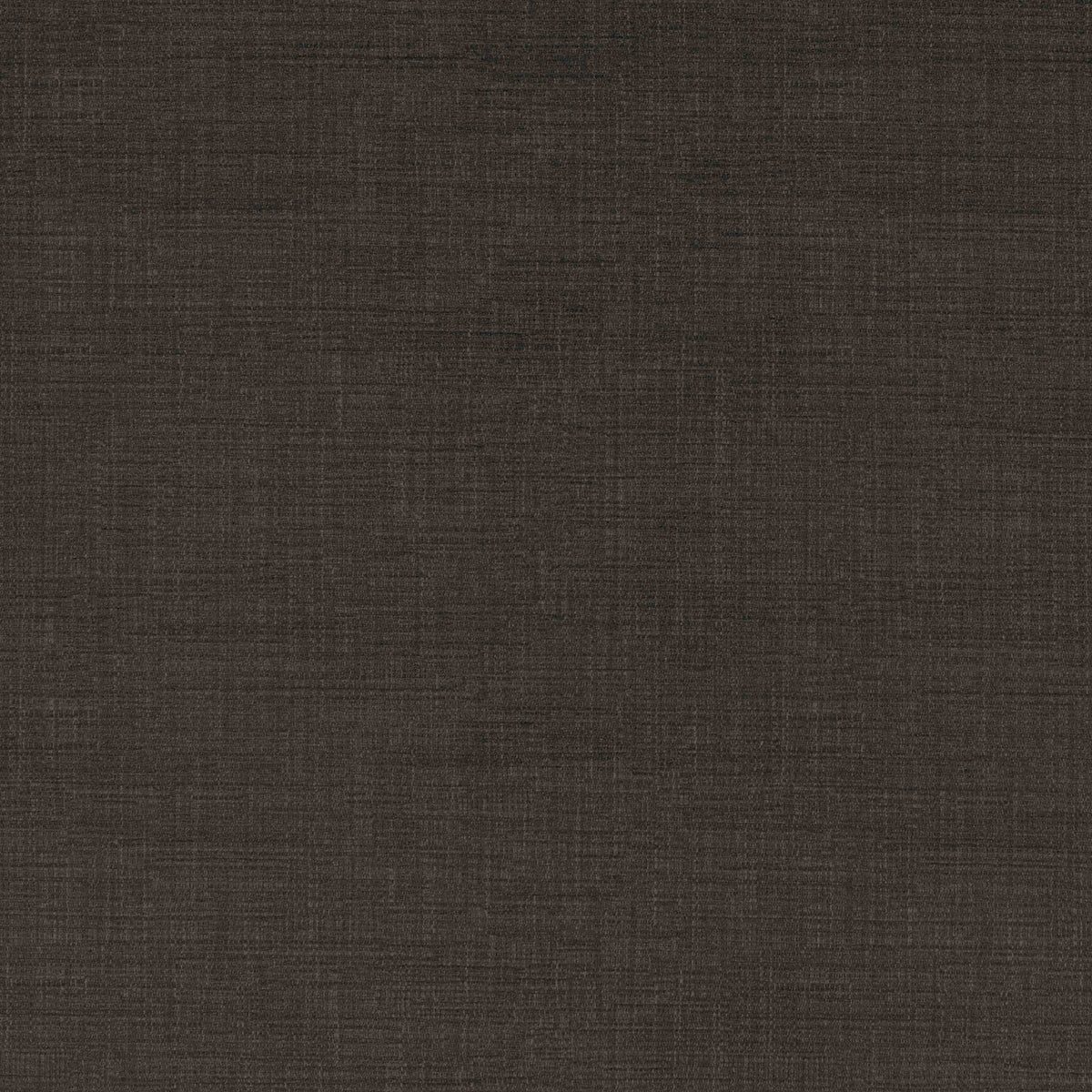 Warwick Waldorf Cocoa