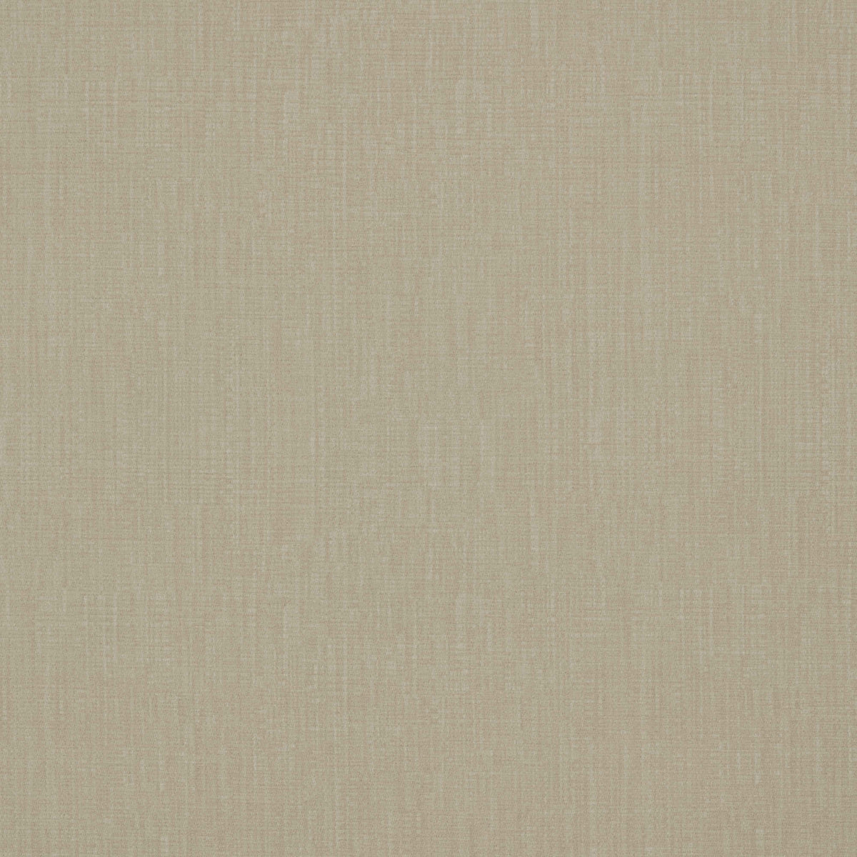 Warwick Waldorf Feather