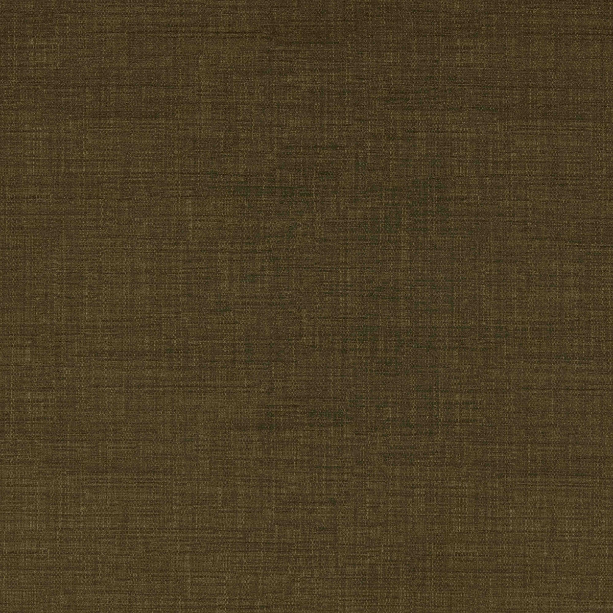 Warwick Waldorf Fern
