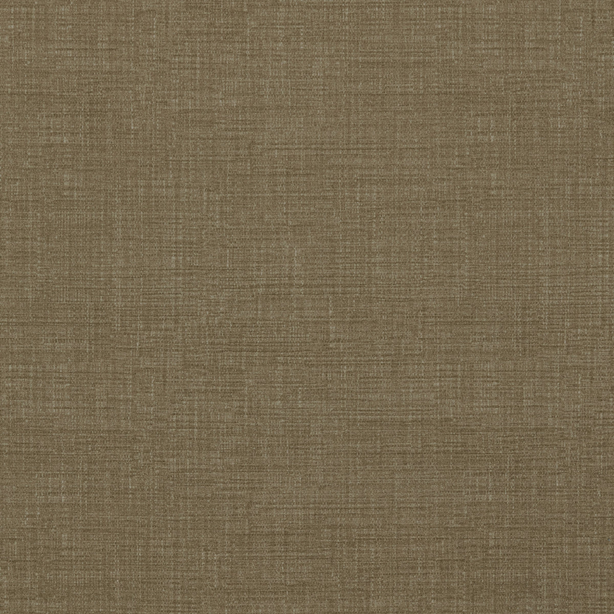 Warwick Waldorf Lichen