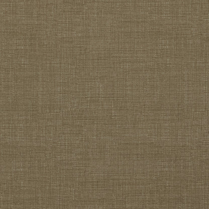 Warwick Waldorf Lichen