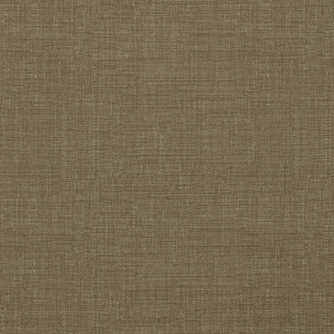 Warwick Waldorf Lichen