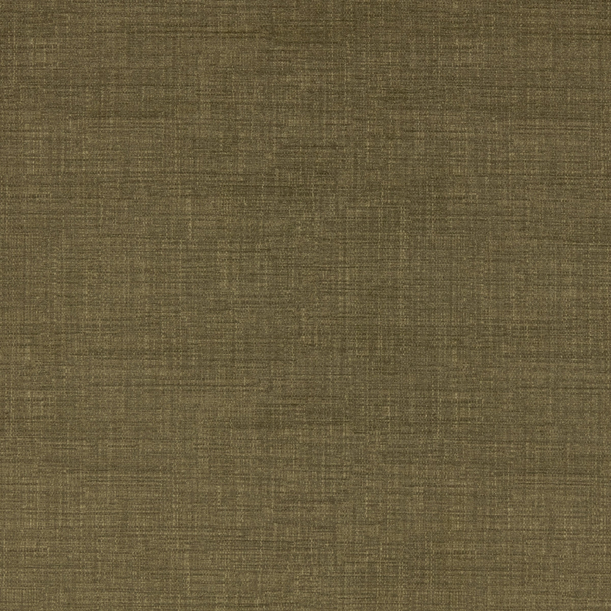 Warwick Waldorf Olive