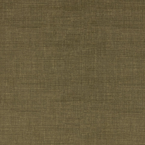 Warwick Waldorf Olive