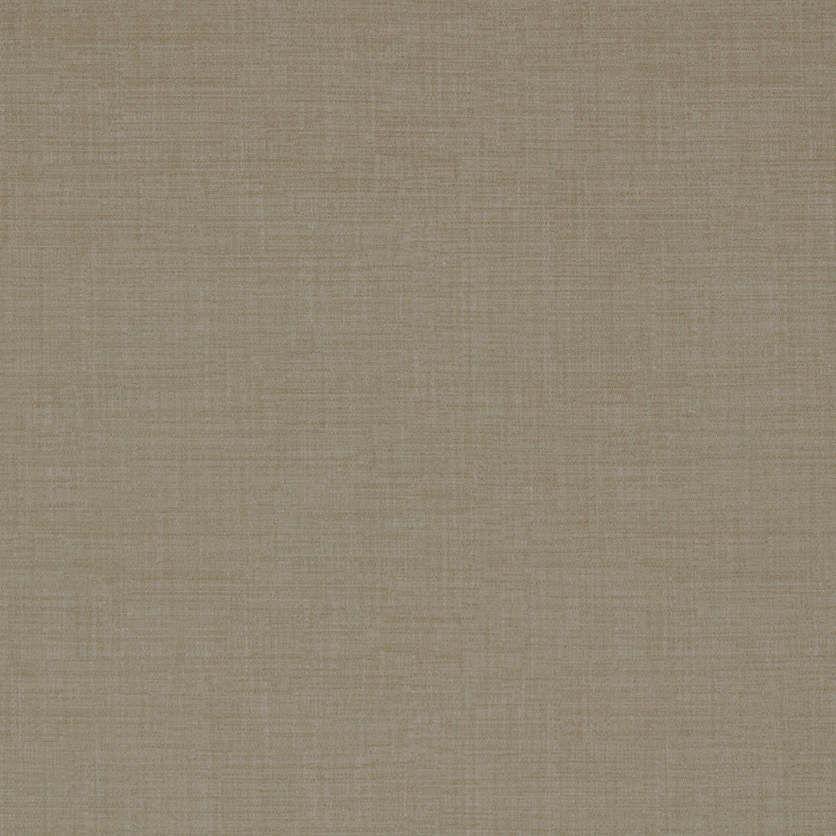 Warwick Waldorf Wisp