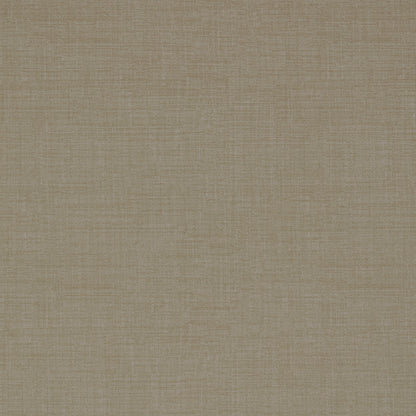 Warwick Waldorf Wisp