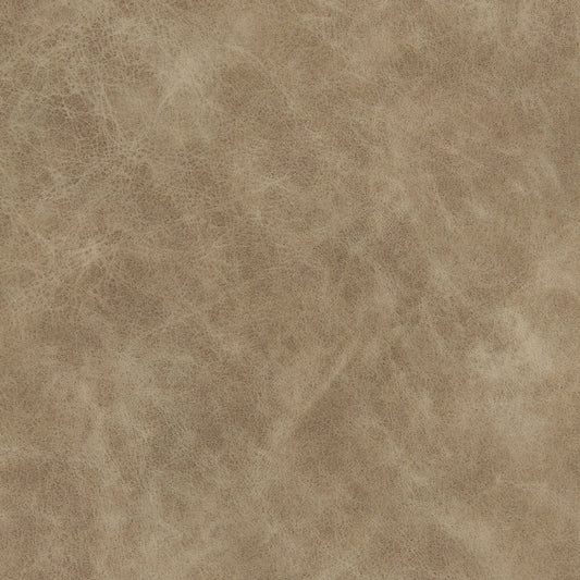 Warwick Yellowstone Apache