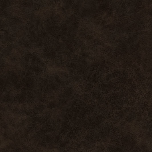 Warwick Yellowstone Cocoa