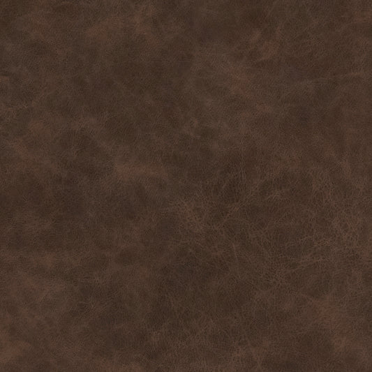 Warwick Yellowstone Mocha