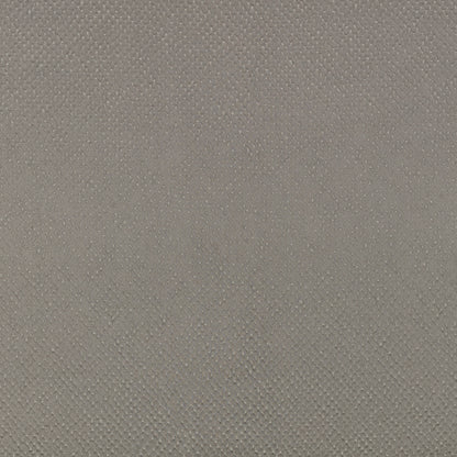 Zinc Textiles Roxy Tungsten