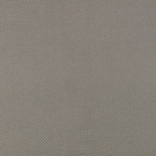 Zinc Textiles Roxy Tungsten