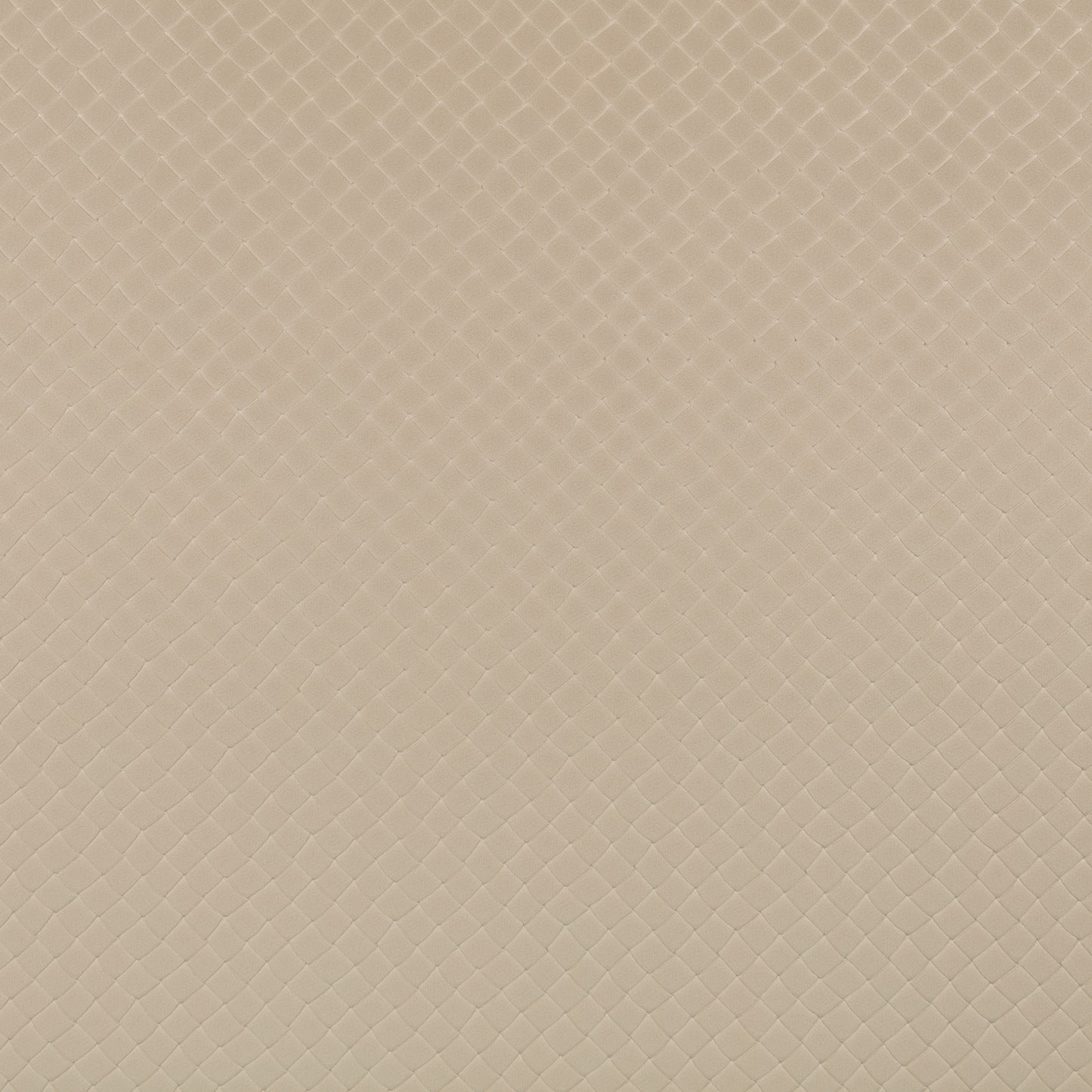 Zinc Textiles Cachaca Moonbeam