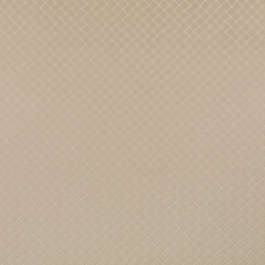 Zinc Textiles Cachaca Moonbeam