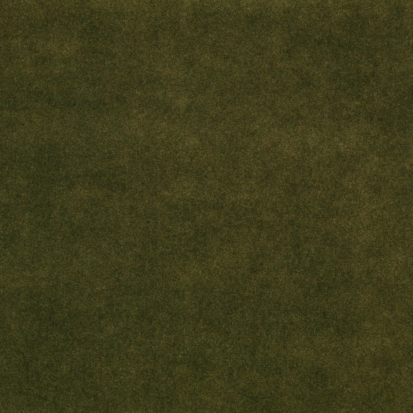 Zinc Textile Chapinero FR Moss