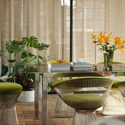 Zinc Textile Turo Kiwi