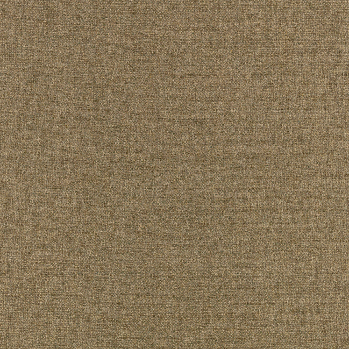 Zinc Textile Holbox Moss