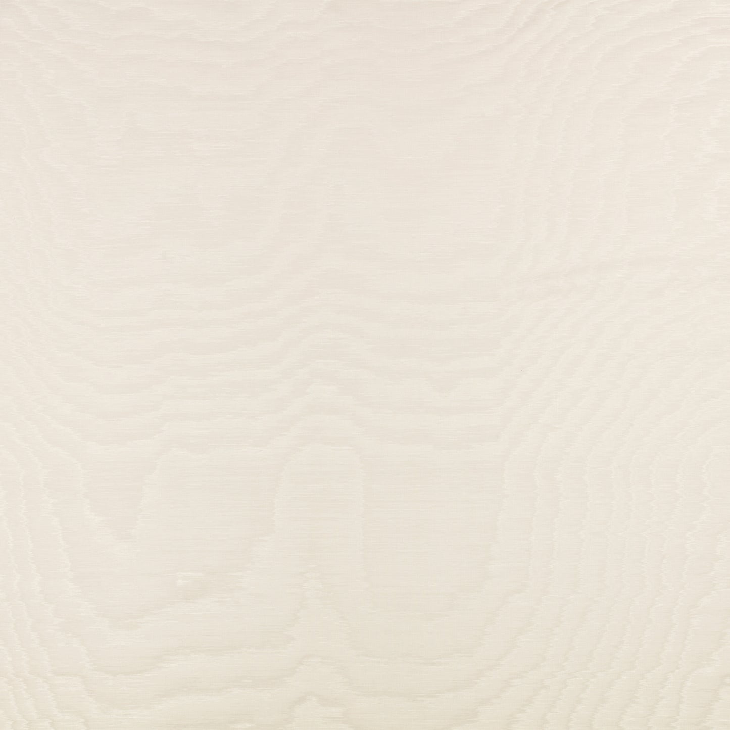 Zinc Textile Bandra Oyster