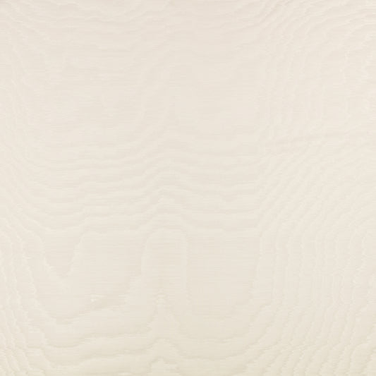 Zinc Textile Bandra Oyster