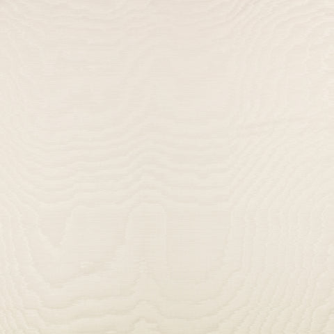 Zinc Textile Bandra Oyster