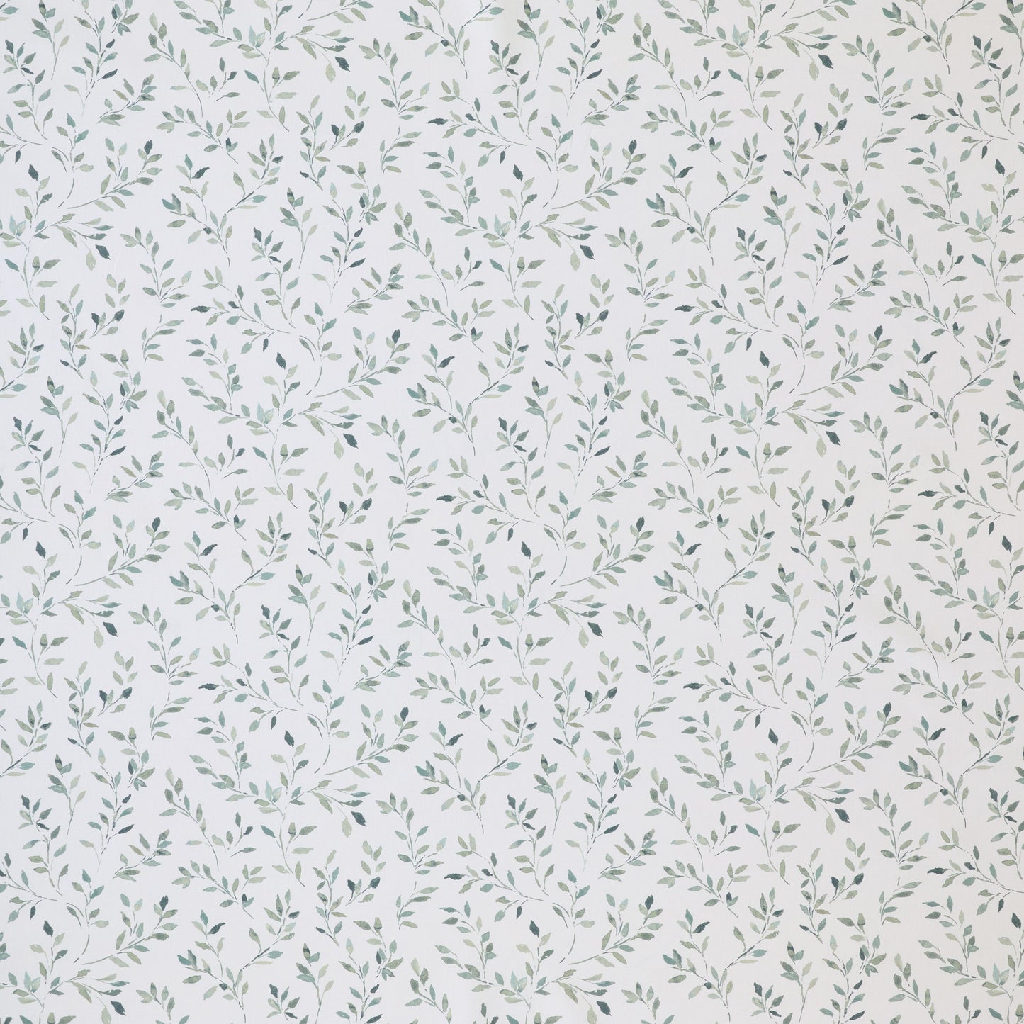 Ashley Wilde Ada Duckegg