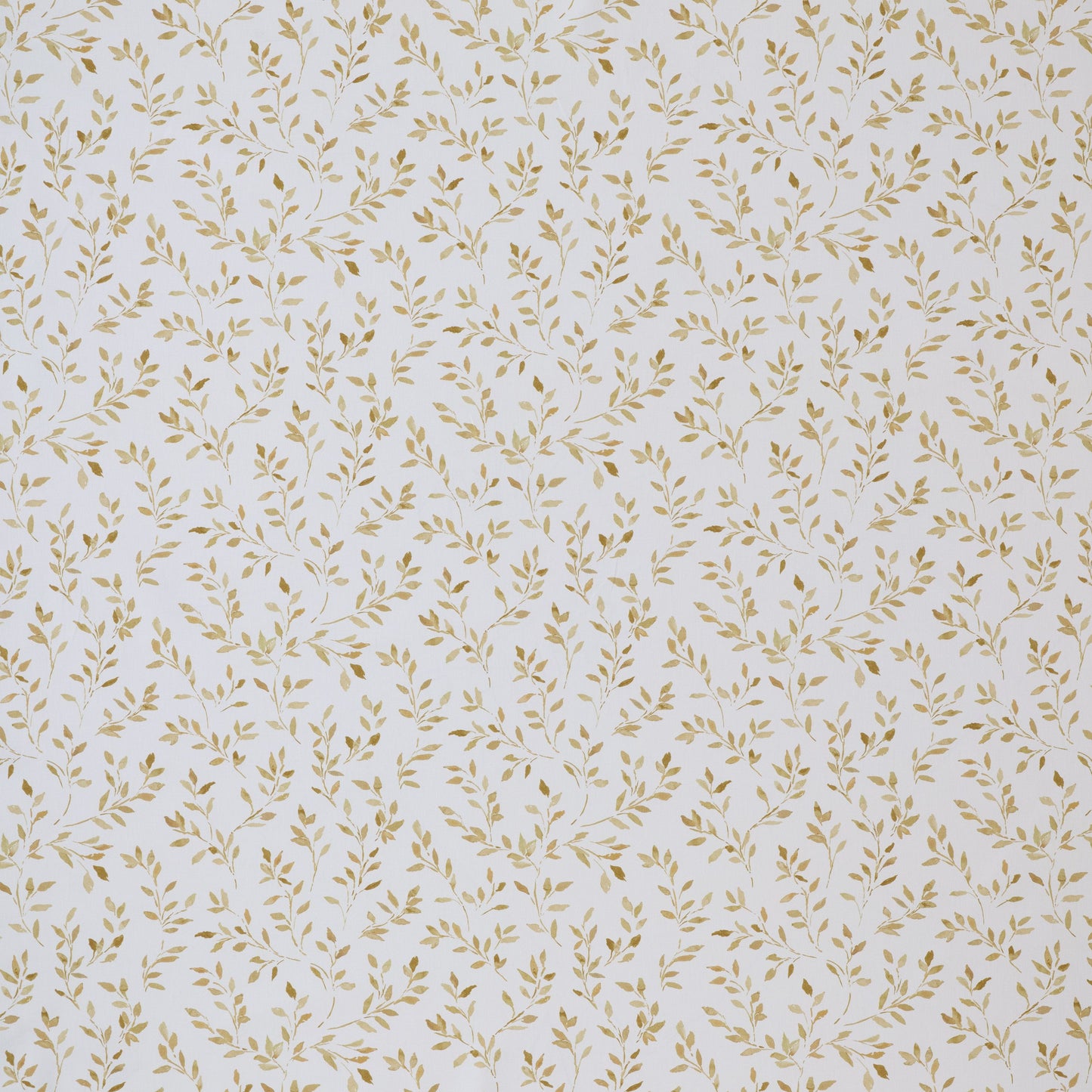 Ashley Wilde Ada Ochre