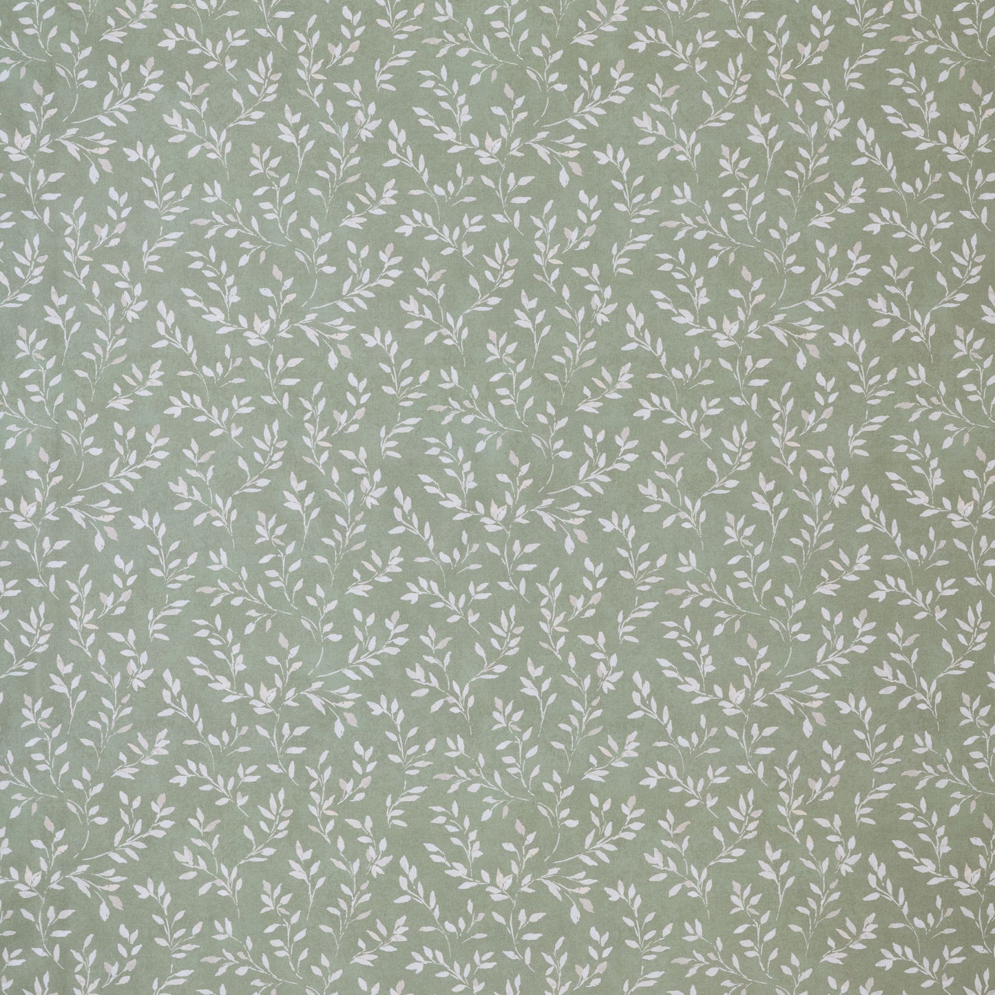 Ashley Wilde Ada Sage