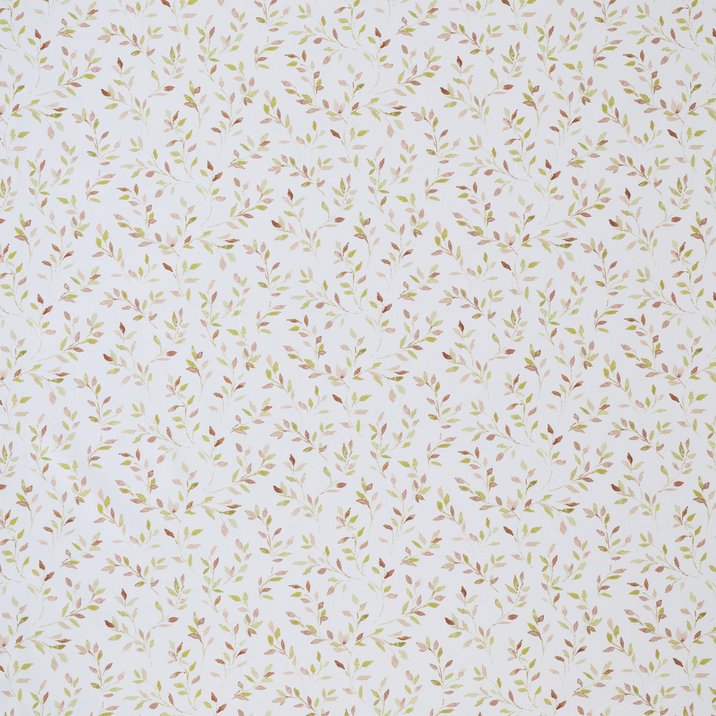 Ashley Wilde Ada Sienna