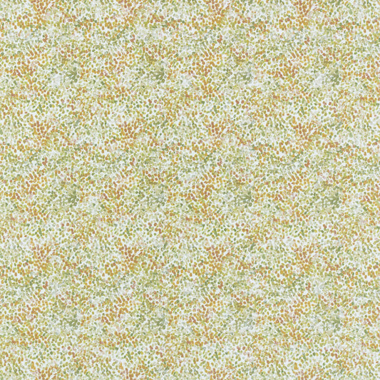 Ashley Wilde Alette Ivy