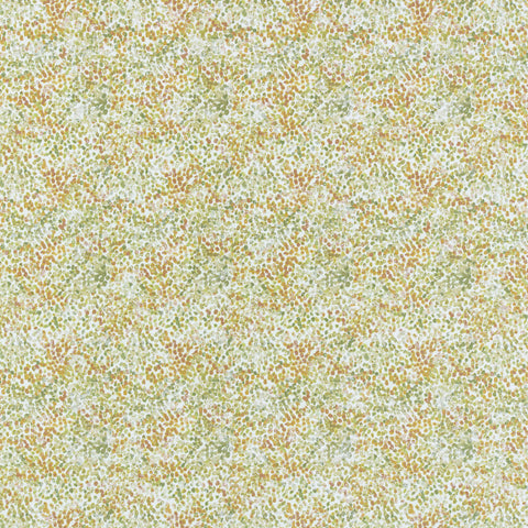 Ashley Wilde Alette Ivy