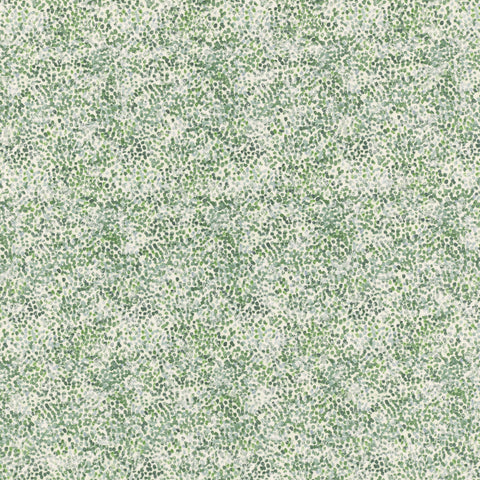 Ashley Wilde Alette Jade