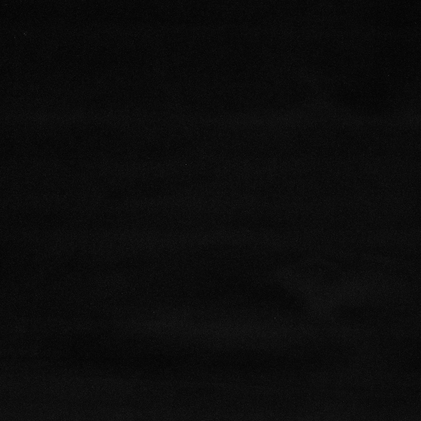 Prestigious Textiles Hadwin Raven