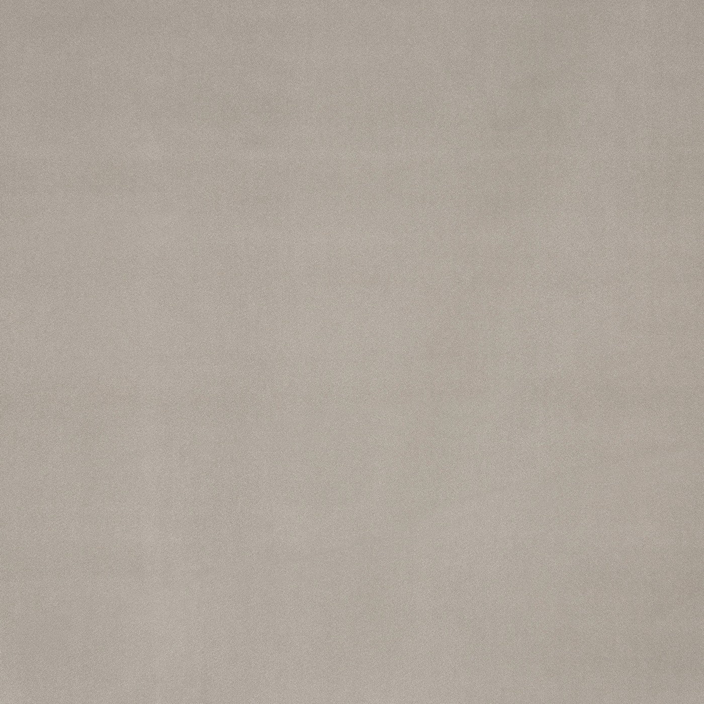 Prestigious Textiles Hadwin Feather