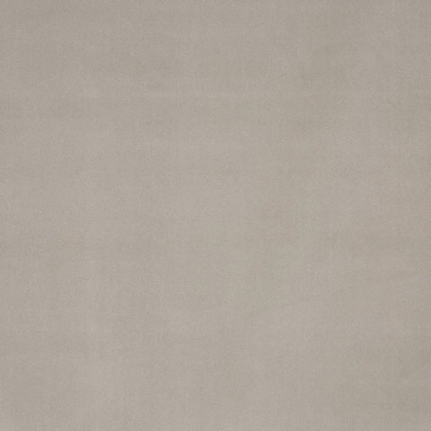 Prestigious Textiles Hadwin Feather