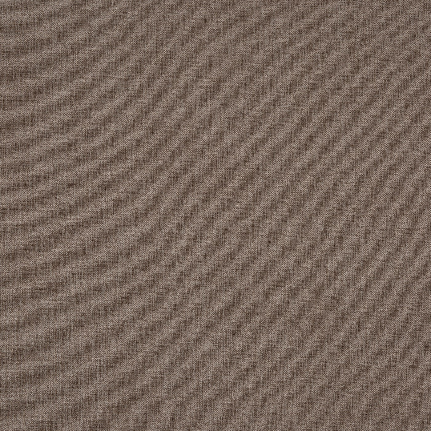 Prestigious Textiles Ralph Pecan